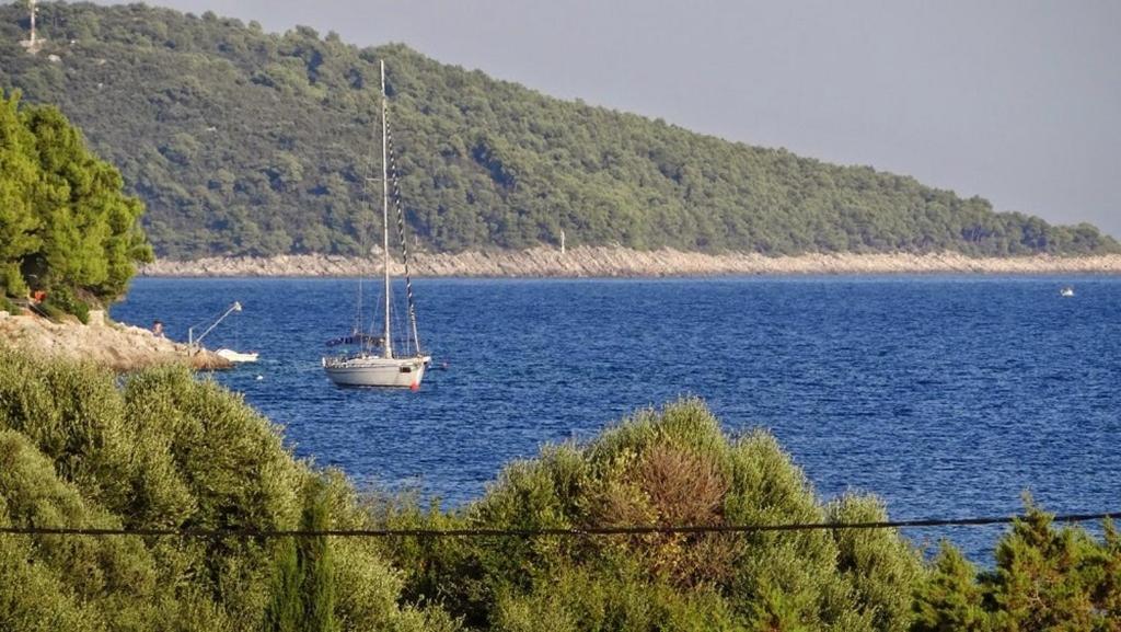 Apartments By The Sea Prizba, Korcula - 14385 Exterior photo